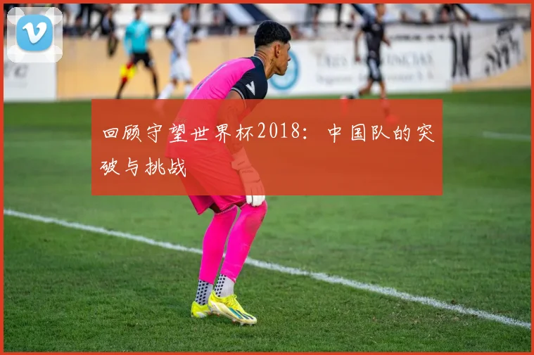 回顾守望世界杯2018：中国队的突破与挑战