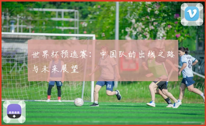 世界杯预选赛：中国队的出线之路与未来展望