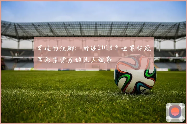奇迹的注脚：讲述2018年世界杯冠军彩票背后的凡人故事