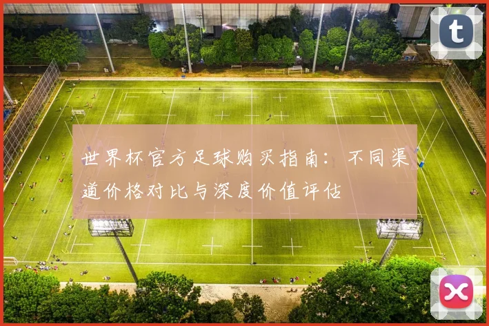 世界杯官方足球购买指南：不同渠道价格对比与深度价值评估