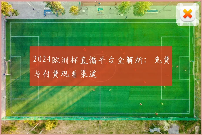 2024欧洲杯直播平台全解析：免费与付费观看渠道