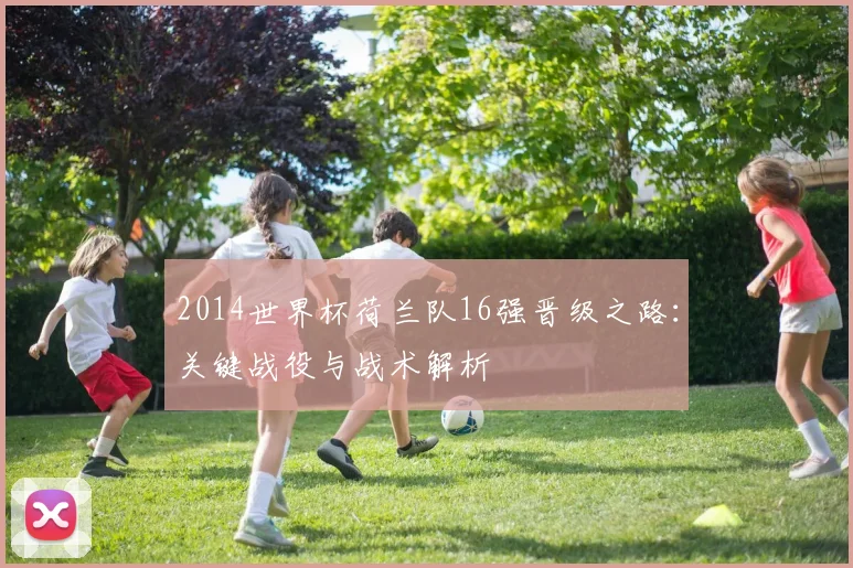2014世界杯荷兰队16强晋级之路：关键战役与战术解析